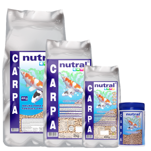 Nutral Carpa