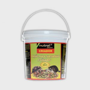 Nutral Ouro tartaruga Criador