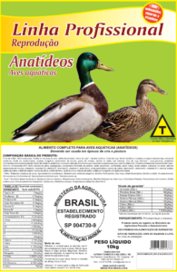 Anatídeos Reprodução